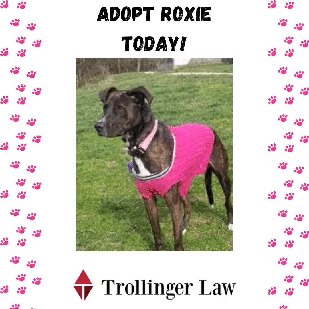 Pet of the Month Roxie