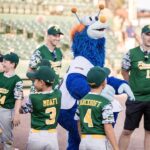 baseball